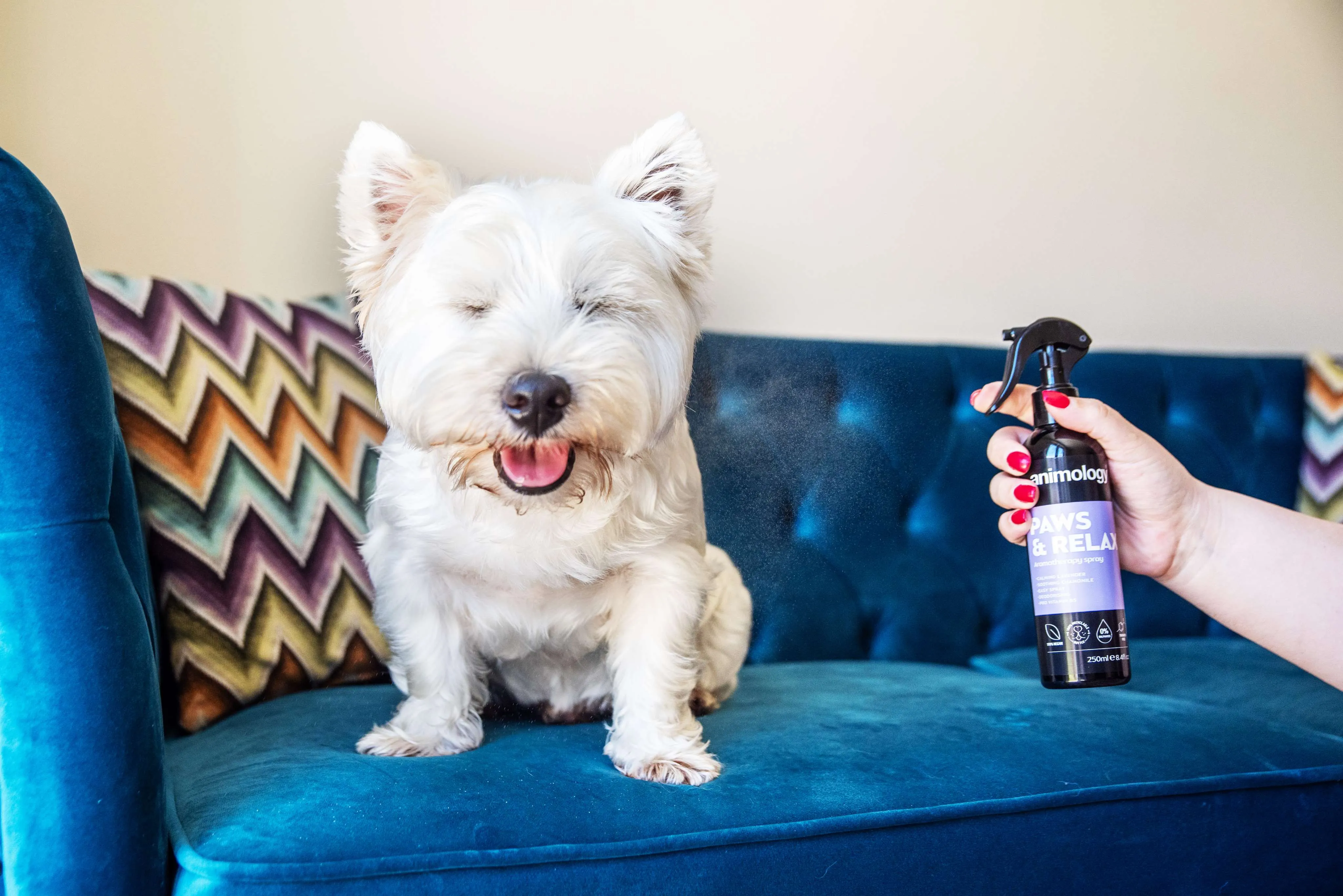 Paws & Relax Aromatherapy Spray 250ml